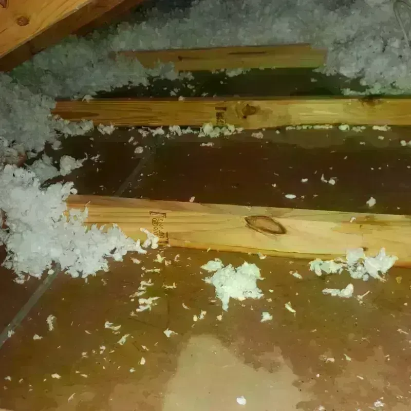 Attic Water Damage in Carnuel, NM