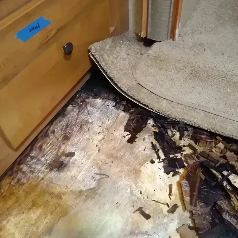 Best Wood Floor Water Damage Service in Carnuel, NM